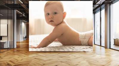 Cute baby 6 months in diapers lying on his stomach on the bed. Looking into camera Wall mural