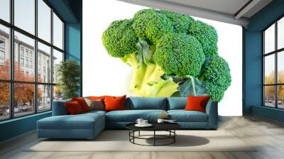 Brocolli isolated on white Wall mural