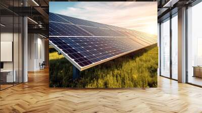 Solar panels on the background of a green grass. The idea of cooperation with nature and the use of solar energy in harmony with the environment. Close up Wall mural