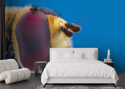 fly head stacke macro shot Wall mural