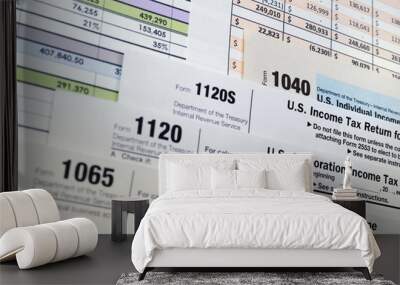 U.S. Income Tax Return forms 1040,1065,1120 Wall mural