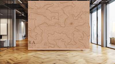 Ancient abstract earth relief old map. Generated conceptual vector elevation map of fantasy landscape. Wall mural