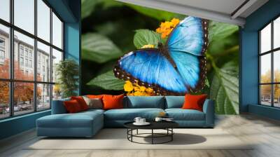 Blue Morpho Butterfly in Costa Rica Wall mural