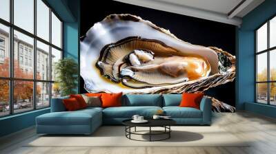 oysters close up over black background open french fine de claire oysters healthy sea food oyster dinner in restaurant gourmet food delicatessen macro shot Wall mural