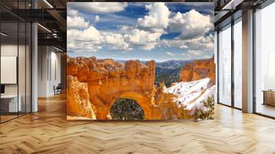 the bryce canyon national park Wall mural