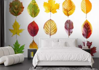 A collection of autumn leaves in various colors and shapes Wall mural