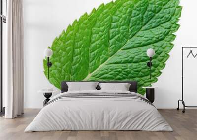 Single mint leaf  ,isolated on white background Wall mural