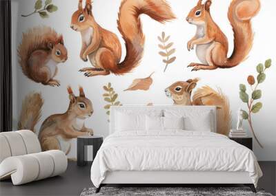 Squirrel character sheet collection , watercolor style, isolated on white background, PNG die-cut, clipart Wall mural