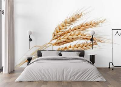 Wheat ear ,isolated on white background or transparent background, png clipart die-cut Wall mural