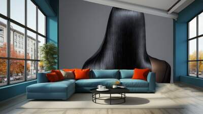 Back view of shiny long black hair woman Wall mural