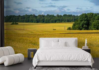 yellow or orange cereal field with electric poles Wall mural