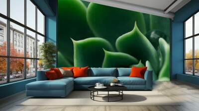 green texture Wall mural