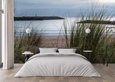 grass on Aberavon beach, Port Talbot, South Wales Wall mural