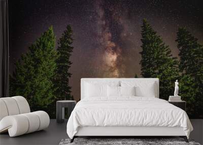 The milky way over a fir tree forest in Kanas Lake Scenic Spot in Xinjiang, China Wall mural