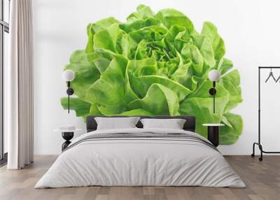 Fresh lettuce isolated on white Wall mural