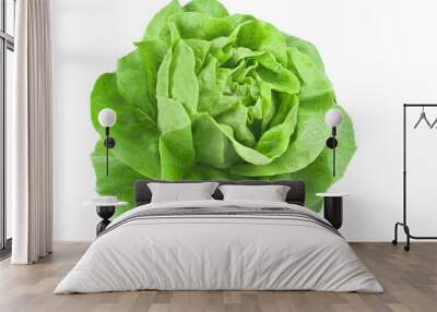 Fresh lettuce isolated on white Wall mural