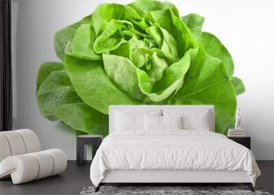 fresh lettuce Wall mural