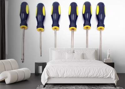 Set of screwdriver Wall mural