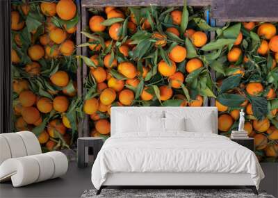 A typical market stall selling oranges to tourists in Marrakech. Traditional morocco fruits oranges in street shop souk Wall mural