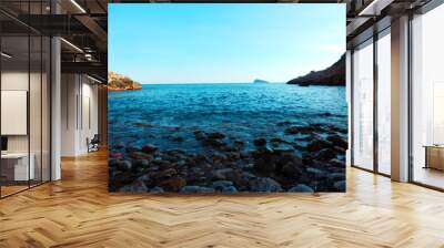 rocky coast of the sea Wall mural