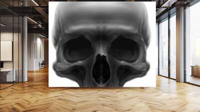 Detailed graphic grey human skull with teeth illustration Wall mural