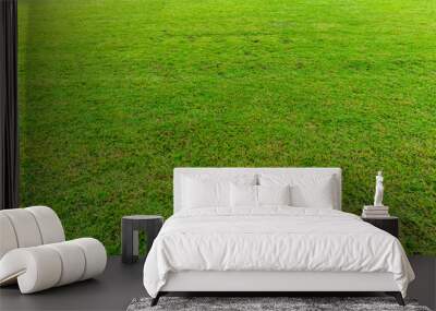 green grass natural background texture Wall mural