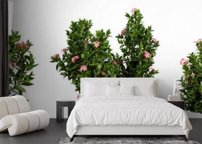 outdoor bush and tree plant isolated on transparent or white background Wall mural