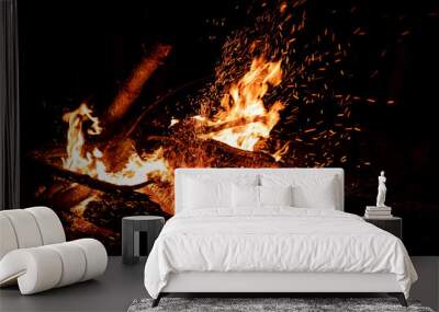 night bornfire on the beach  Wall mural