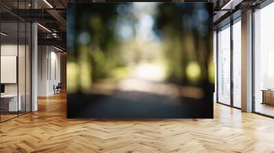 abstract green park or garden blurred background in shadow path, real lens blur Wall mural