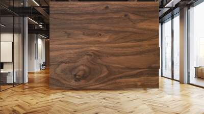 Black walnut wood texture from two boards oil finished Wall mural