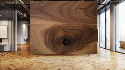 Black walnut wood texture from two boards oil finished Wall mural