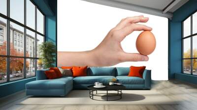 female teen hand holding brown chicken egg isolated on white background Wall mural