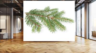 gree spruce twig Wall mural