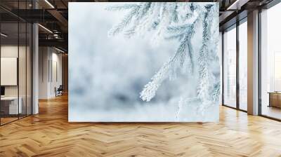 winter background with frosty fir branches Wall mural