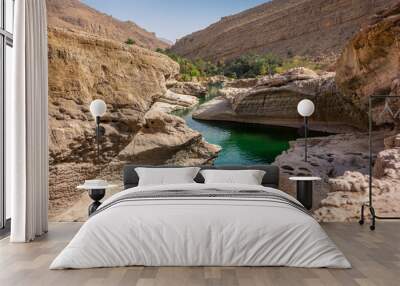 the refreshing cold water of the oasis of Wadi Bani Khalid in Oman Wall mural