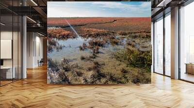 view of the wadden sea on the island of ameland in the netherlands in autumn - 2 Wall mural