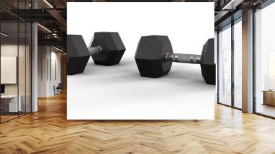 Rubber hex dumbbells transparent background Wall mural