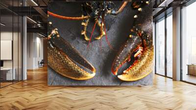  fresh european lobster homarus gammarus of atlantic coast on slate stone Wall mural