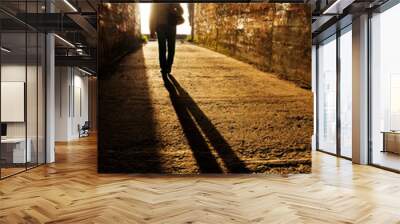 brave woman  without fear in tunnel with light in background Wall mural