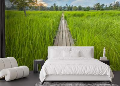 100 year-old wooden bridge between rice field with sunlight at N Wall mural