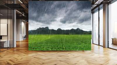 falling rain at Khao Jeen Lae, mountain at Lopburi, Thailand Wall mural