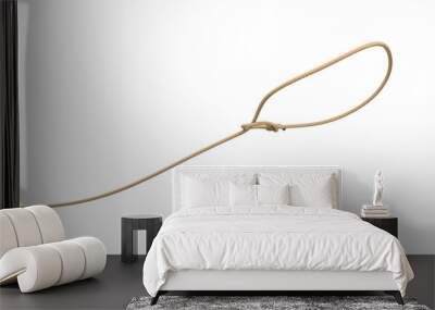 3d rendering of a rope tied in a lasso and flying on a white background. Wall mural