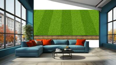 3d rendering of an isolated sports field with green grass on a white background. Wall mural