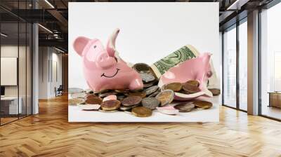 Broken piggy bank with coins money isolated on white background, close-up Wall mural