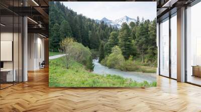 A stream of fresh glacier water coming from the snow covered mountains in the French Alps. Wall mural