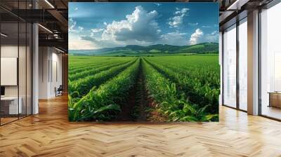 Green Cornfield Under a Sunny Sky Wall mural