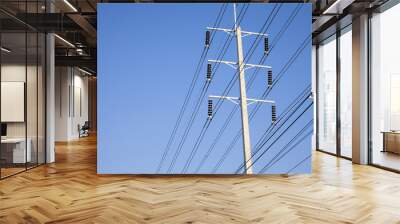  Electrical power poles in The electricity needed to power an electric pole. Wall mural