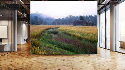 Beautiful morning light, Boon Kho Ku So Bridge is located in Pam Bok Village. Wall mural