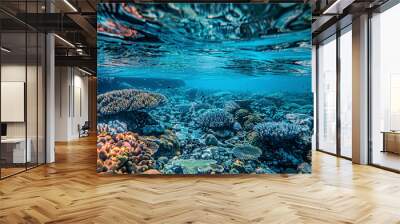 coral blue water in the ocean, oceanic view, underwater life scene, coral blue background Wall mural