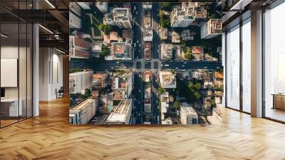 panoramic view of the city, aerial view of the city, buildings scene, biuldings in the city, top view of buildings in the city Wall mural